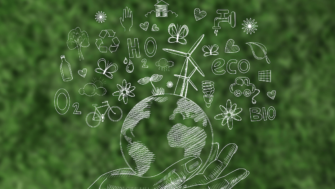 Environmental & Sustainability
